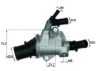 FIAT 55202885 Thermostat, coolant